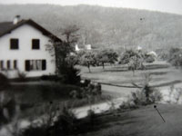Blick von Oskars Spörris Garten über die Etzelmatt zum Kloster Wettingen (1950)